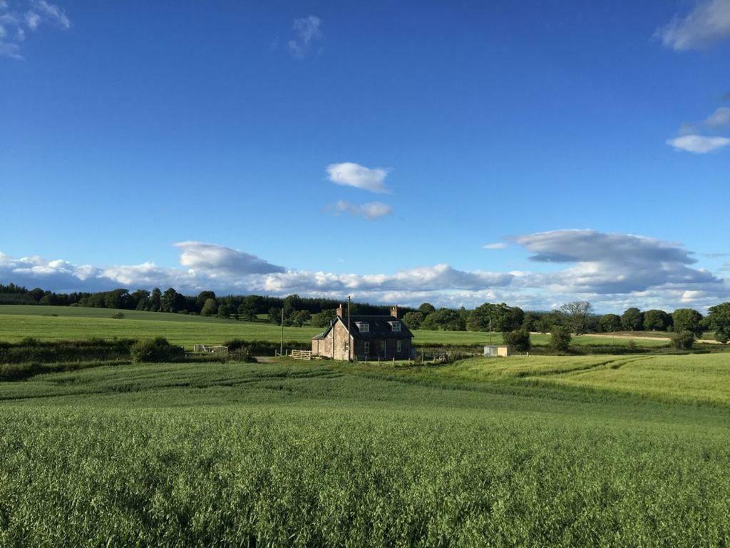 Blackhill Farm Cottage Perth Ngoại thất bức ảnh